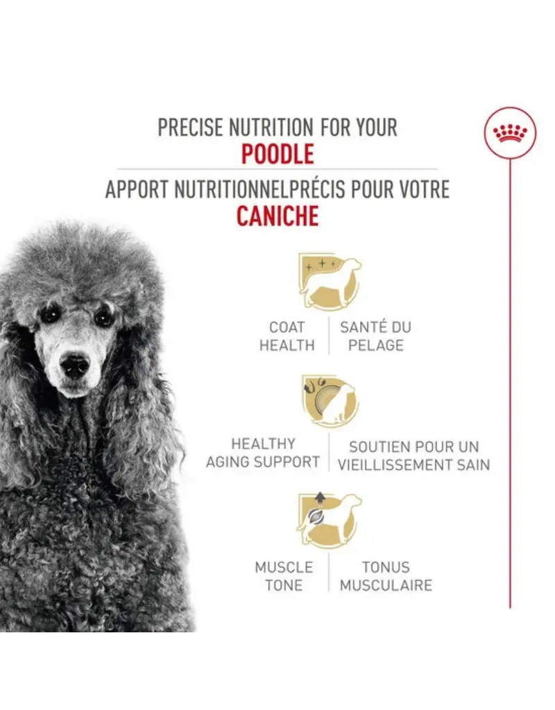 Royal Canin Royal Canin caniche