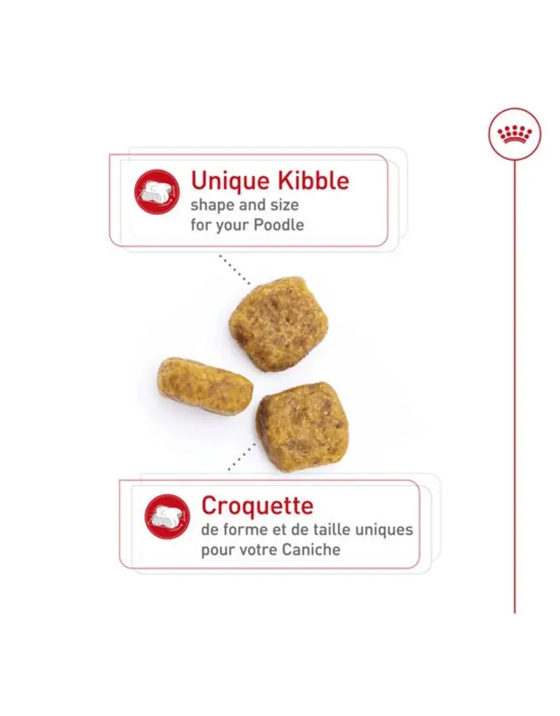 Royal Canin Royal Canin caniche