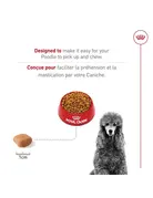 Royal Canin Royal Canin caniche