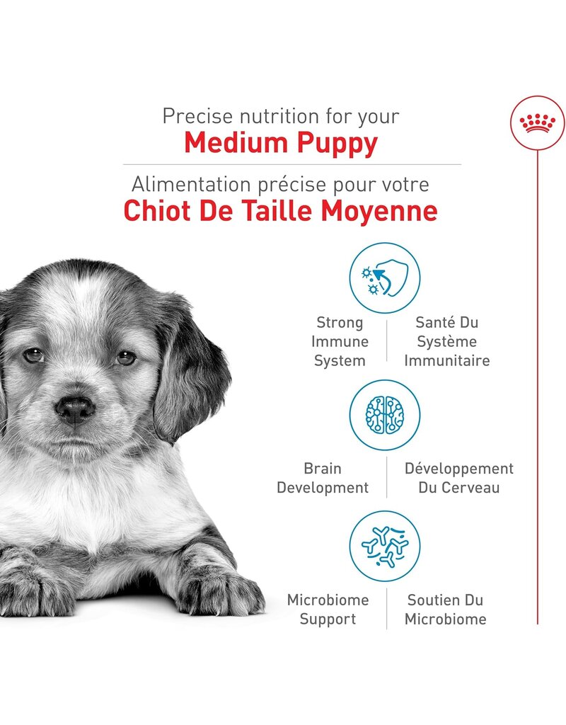 Royal Canin Royal Canin moyen chien