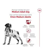 Royal Canin Royal Canin moyen chien