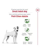 Royal Canin Royal Canin petit chien