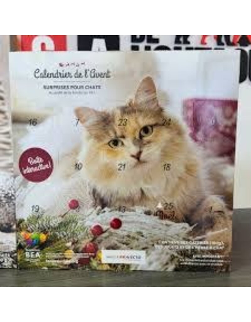BEA Fondation BEA, Calendrier de l'Avent pour chat CALICO 2025