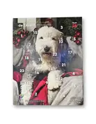 BEA Fondation BEA, calendrier de l'Avent pour chien BERGER ANGLAIS