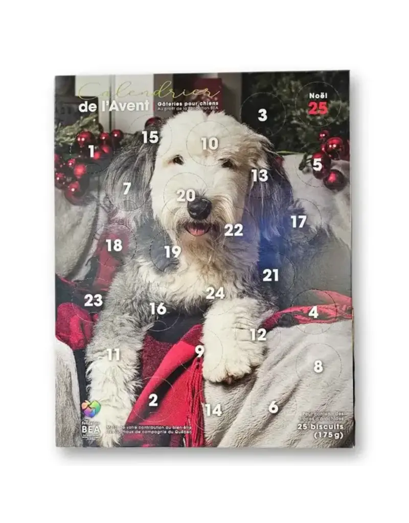 BEA Fondation BEA, calendrier de l'Avent pour chien BERGER ANGLAIS
