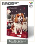 BEA Fondation BEA, calendrier de l'Avent pour chien CAVALIER KING CHARLES