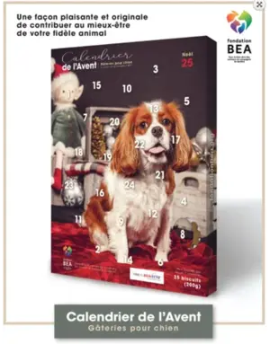 BEA Fondation BEA, calendrier de l'Avent pour chien CAVALIER KING CHARLES
