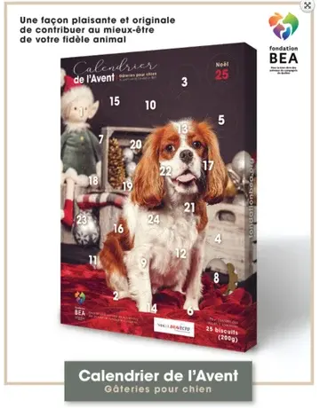 BEA Fondation BEA, calendrier de l'Avent pour chien CAVALIER KING CHARLES