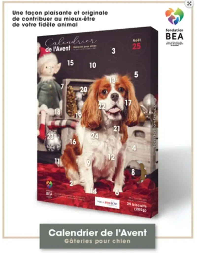 BEA Fondation BEA, calendrier de l'Avent pour chien CAVALIER KING CHARLES