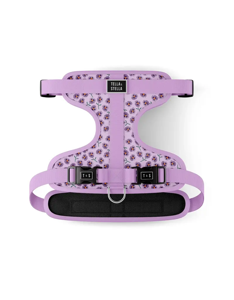 Tella & Stella Tella & Stella harnais pour chien Violette