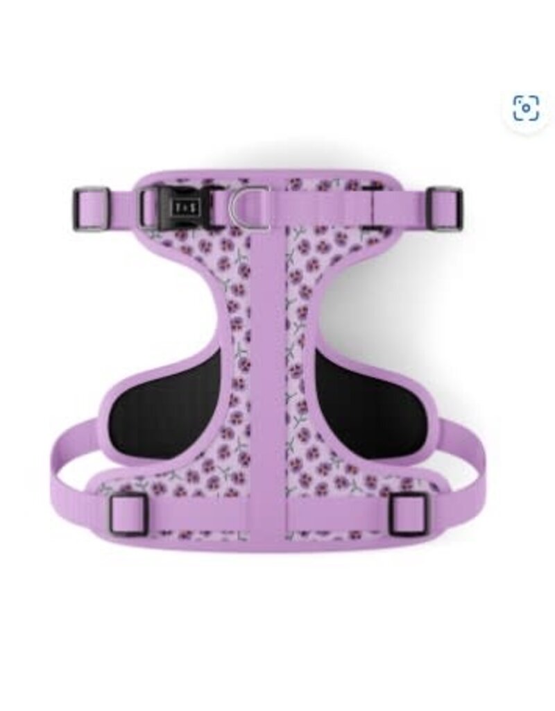 Tella & Stella Tella & Stella harnais pour chien Violette