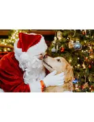 Photo avec le Père Noël  12H30