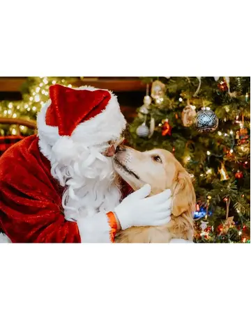 12H20 Photo avec le Père Noël