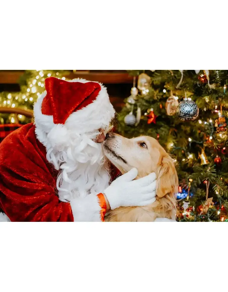 15H50 Photo avec le Père Noël