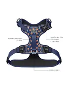 Tella & Stella Tella & Stella harnais avec poigné - willy le grizzly