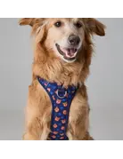 Tella & Stella Tella & Stella harnais avec poigné - willy le grizzly