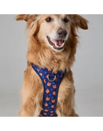 Tella & Stella Tella & Stella harnais avec poigné - willy le grizzly