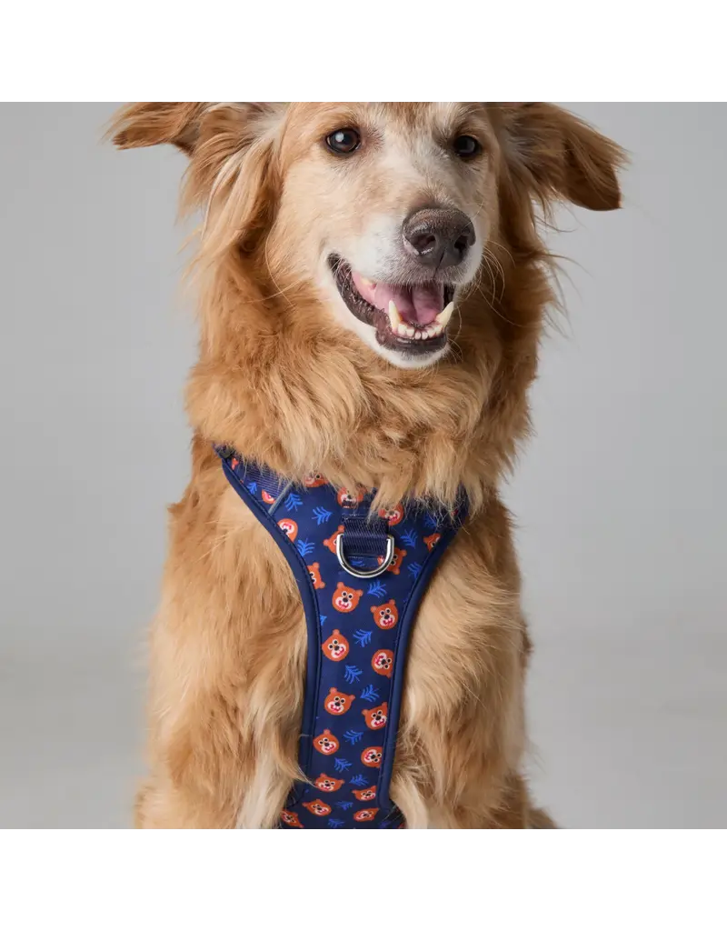 Tella & Stella Tella & Stella harnais avec poigné - willy le grizzly