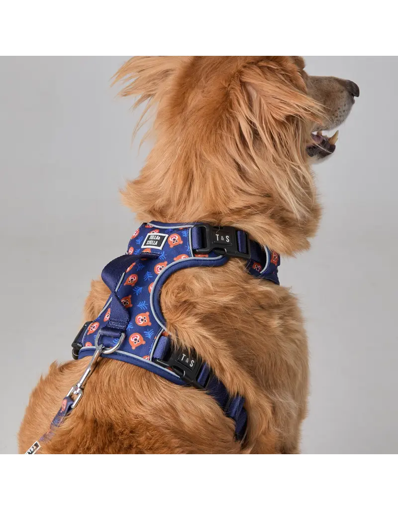 Tella & Stella Tella & Stella harnais avec poigné - willy le grizzly