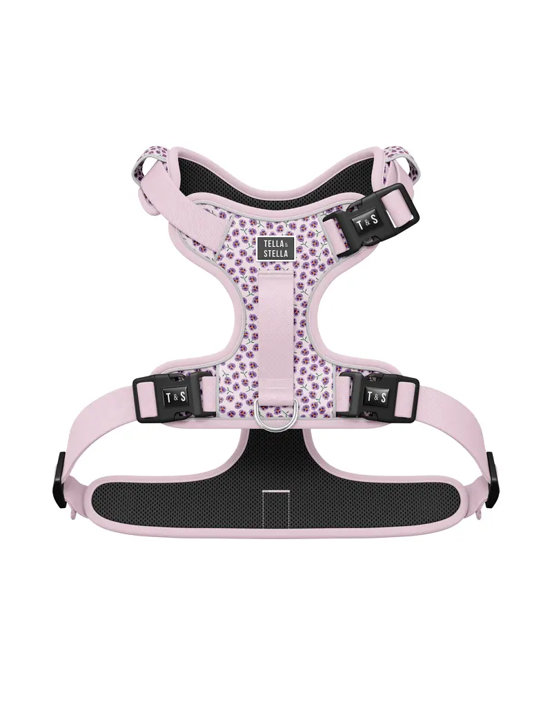 Tella & Stella Tella & Stella harnais avec poigné - violette