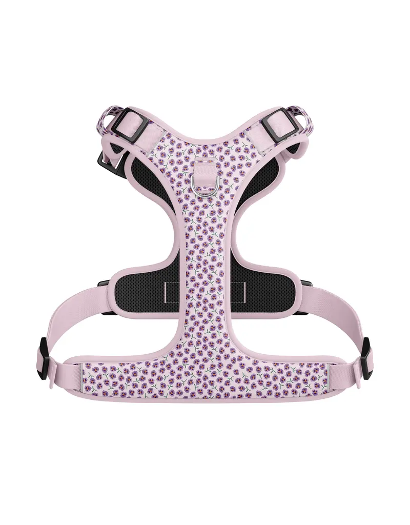 Tella & Stella Tella & Stella harnais avec poigné - violette