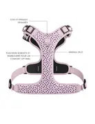 Tella & Stella Tella & Stella harnais avec poigné - violette