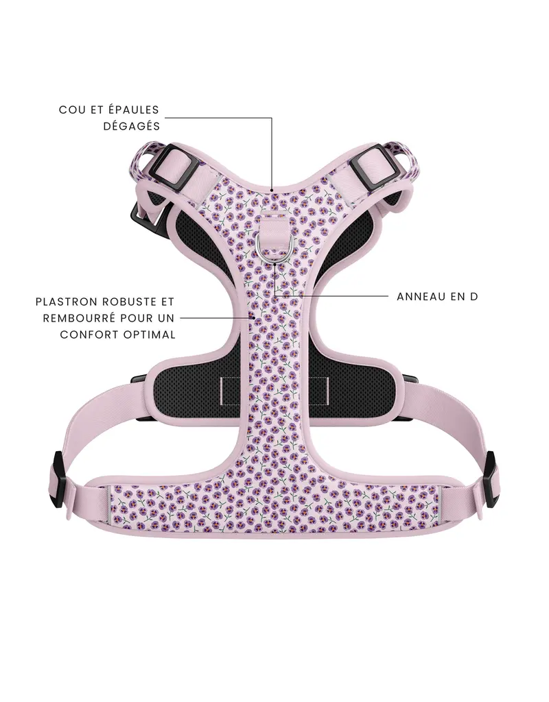 Tella & Stella Tella & Stella harnais avec poigné - violette