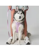 Tella & Stella Tella & Stella harnais avec poigné - violette