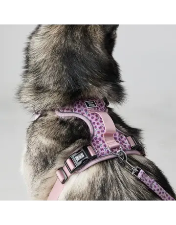 Tella & Stella Tella & Stella harnais avec poigné - violette