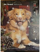 BEA Fondation BEA, calendrier de l'Avent pour chien RETRIEVER NOUVELLE ÉCOSSE