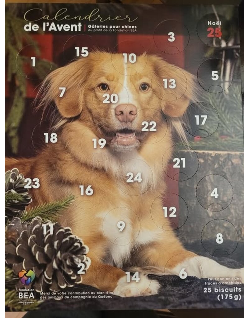 BEA Fondation BEA, calendrier de l'Avent pour chien RETRIEVER NOUVELLE ÉCOSSE