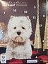 BEA Fondation BEA, calendrier de l'Avent pour chien TERRIER BLANC