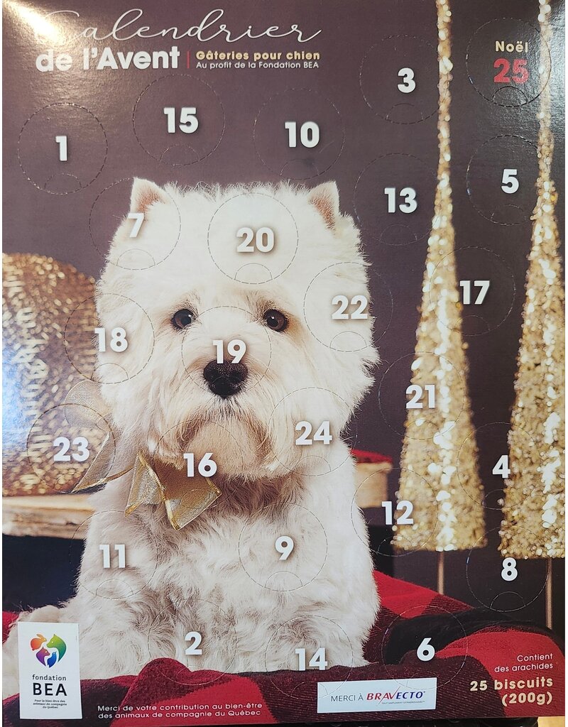 BEA Fondation BEA, calendrier de l'Avent pour chien TERRIER BLANC