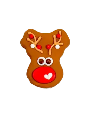 Bosco & Roxy's Bosco & Roxy Reindog