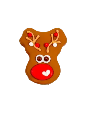 Bosco & Roxy's Bosco & Roxy Reindog