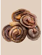 Kyon Distribution Kyon oesophage de porc brioche petit (50)