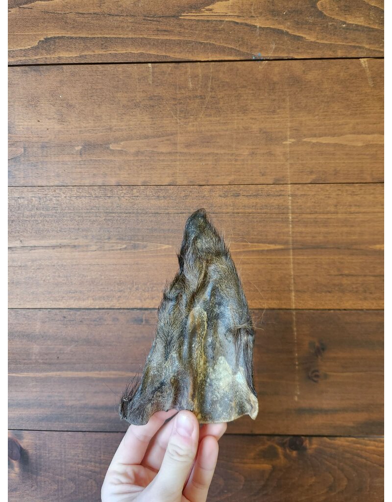 QT dog QT oreilles de buffle d'eau avec poils (5)