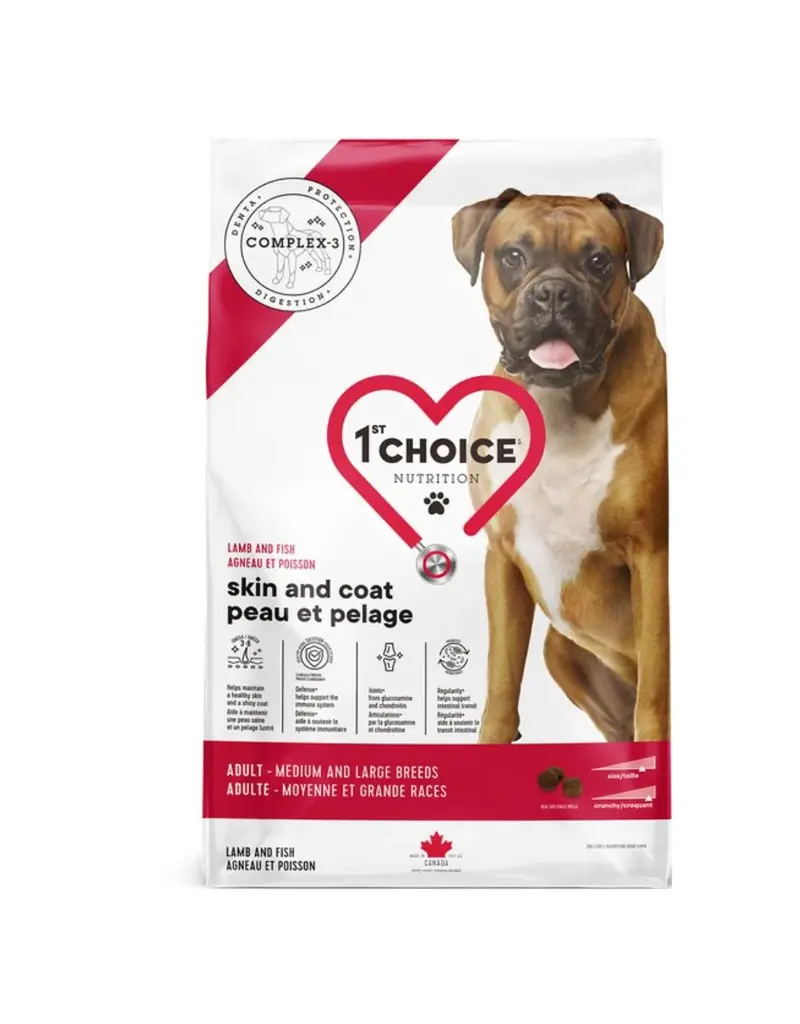 1st choice 1st Choice chien adulte peau pelage sensible grande race