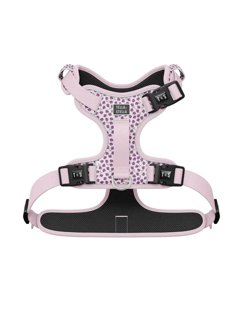 Tella & Stella Tella & Stella harnais avec poigné - violet petit