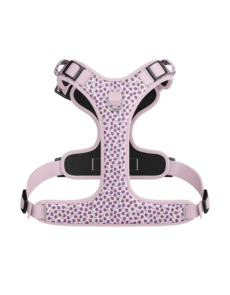 Tella & Stella Tella & Stella harnais avec poigné - violet petit