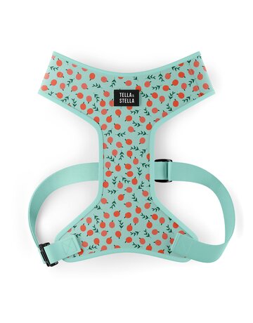 Tella & Stella Tella & Stella harnais hybride pour chien pêche moyen