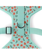 Tella & Stella Tella & Stella harnais hybride pour chien pêche moyen