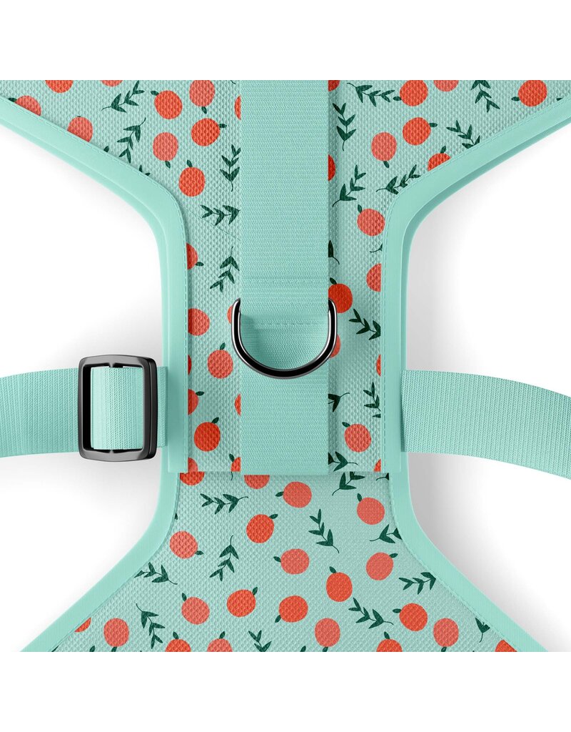 Tella & Stella Tella & Stella harnais hybride pour chien pêche moyen