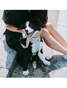 Tella & Stella Tella & Stella harnais hybride pour chien pêche moyen