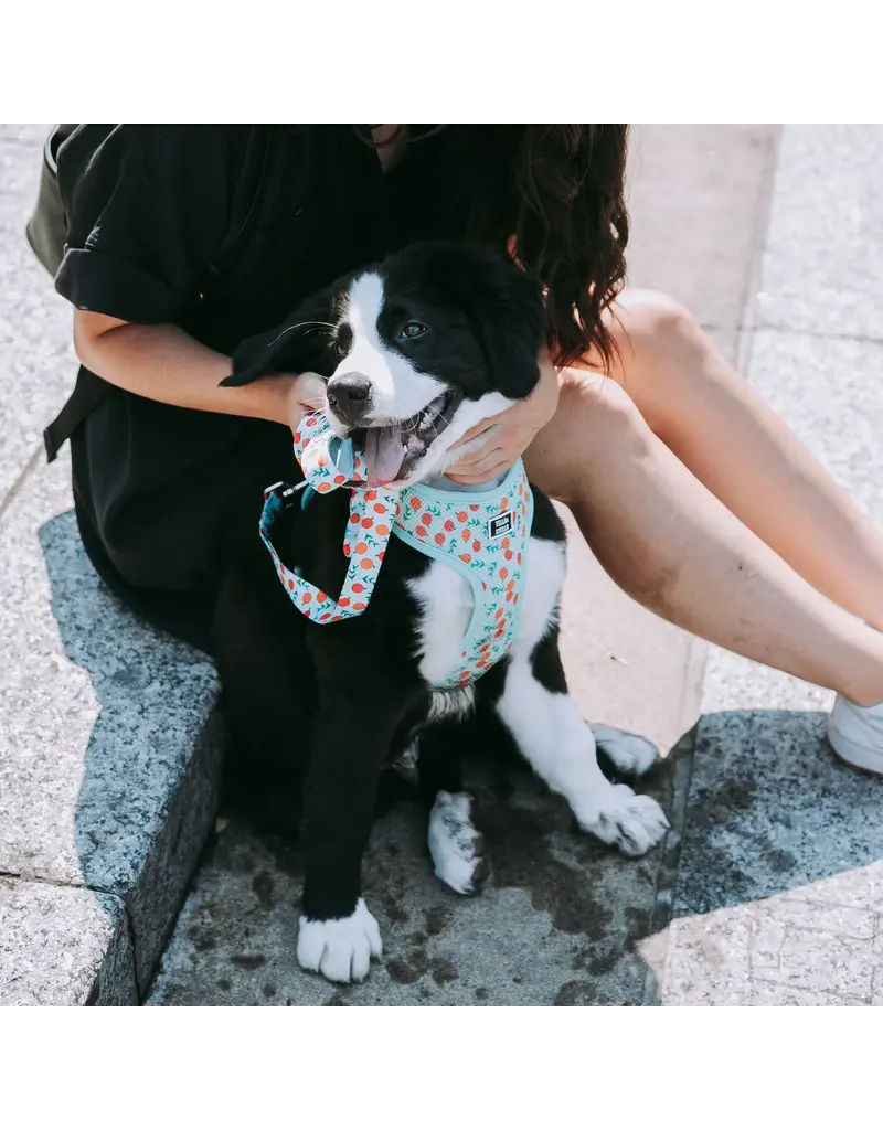 Tella & Stella Tella & Stella harnais hybride pour chien pêche moyen