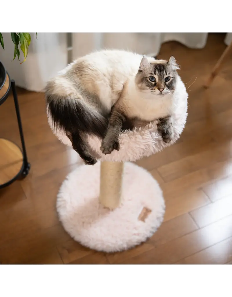 Noba Noba perchoir blush 1 niveau, blanc antique