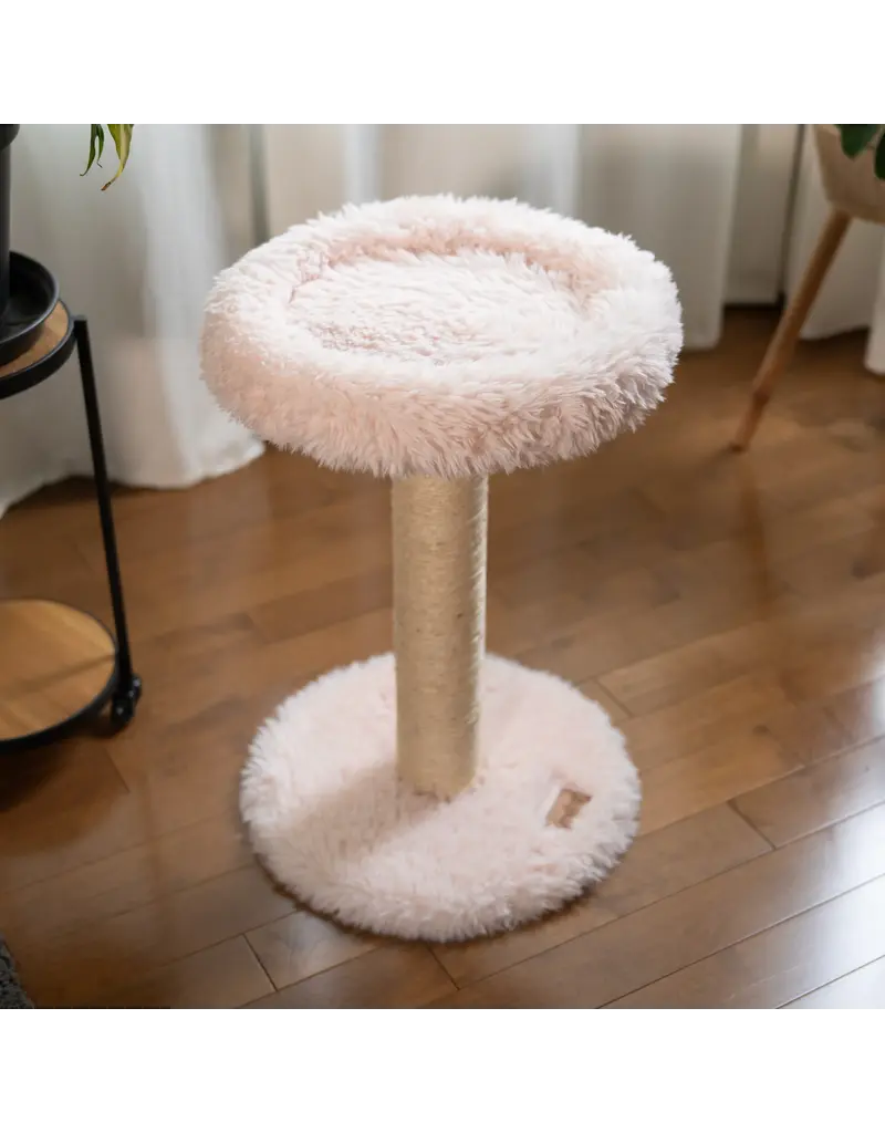 Noba Noba perchoir blush 1 niveau, blanc antique