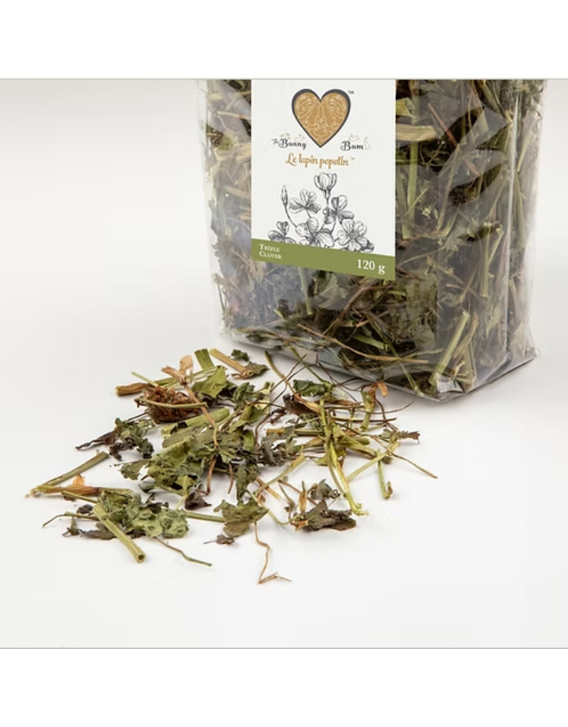 The Bunny Bum The Bunny Bum  trèfle (120g)