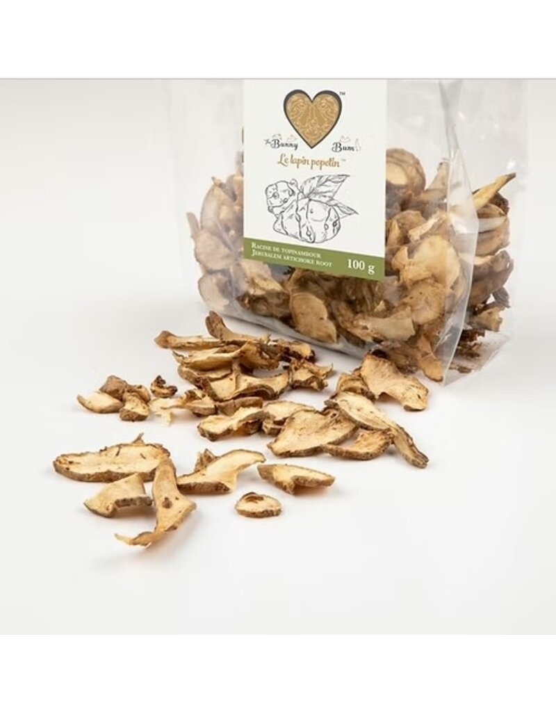 The Bunny Bum The Bunny Bum  racine de topinambour