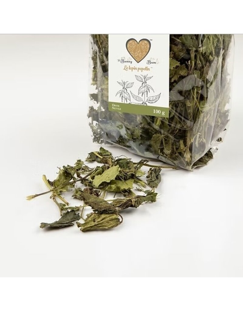 The Bunny Bum The Bunny Bum Ortie